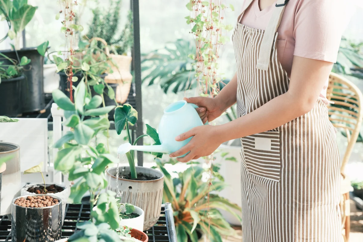 Une femme en tablier en train d'arroser ses plantes avec un petit arrosoir bleu